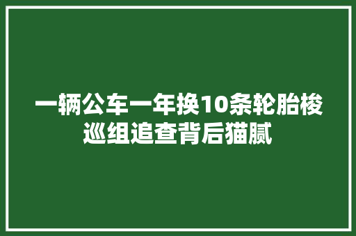 一辆公车一年换10条轮胎梭巡组追查背后猫腻