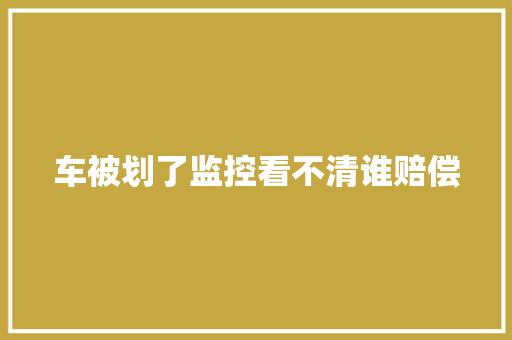 车被划了监控看不清谁赔偿