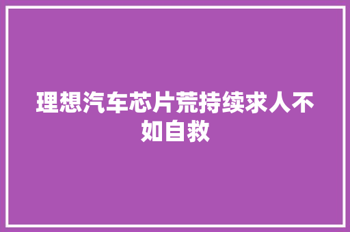 理想汽车芯片荒持续求人不如自救