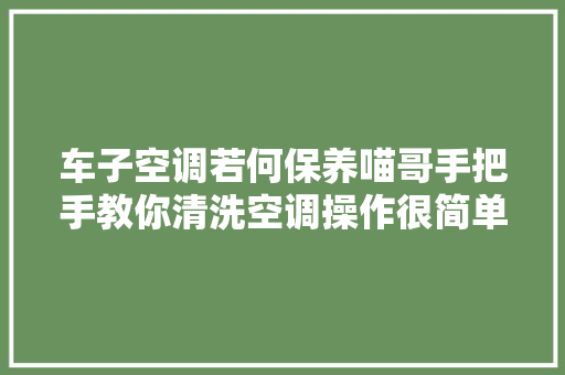 车子空调若何保养喵哥手把手教你清洗空调操作很简单