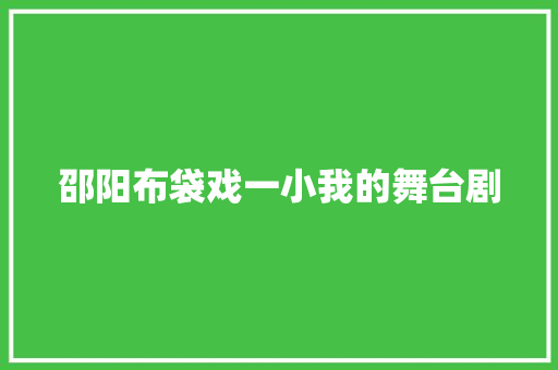 邵阳布袋戏一小我的舞台剧