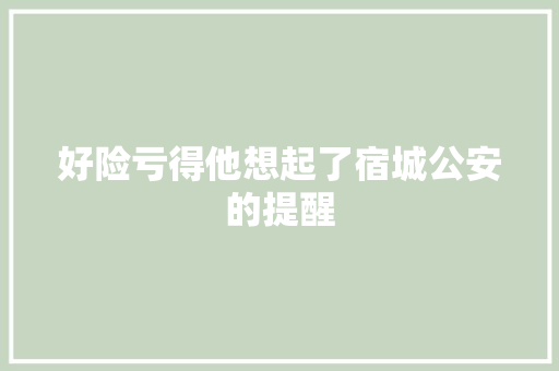 好险亏得他想起了宿城公安的提醒