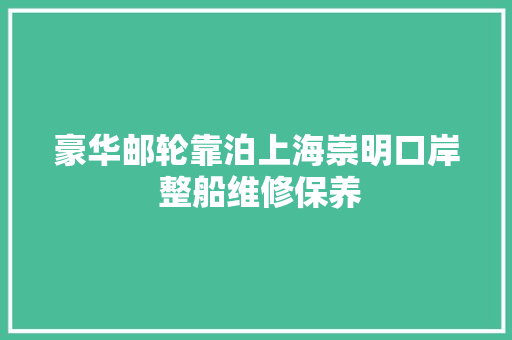 豪华邮轮靠泊上海崇明口岸 整船维修保养