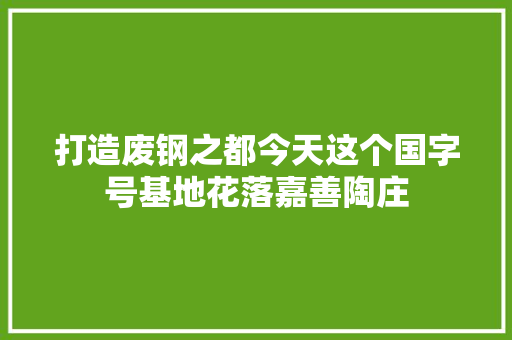 打造废钢之都今天这个国字号基地花落嘉善陶庄