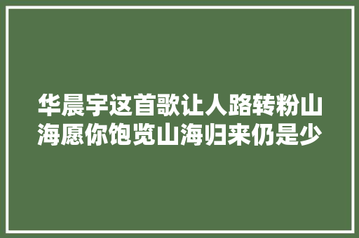 华晨宇这首歌让人路转粉山海愿你饱览山海归来仍是少年