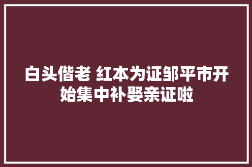 白头偕老 红本为证邹平市开始集中补娶亲证啦