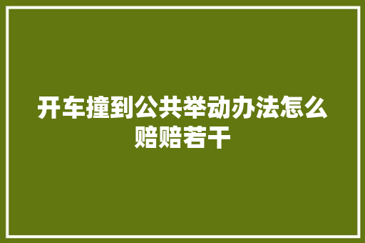 开车撞到公共举动办法怎么赔赔若干