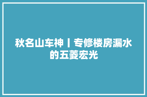 秋名山车神丨专修楼房漏水的五菱宏光