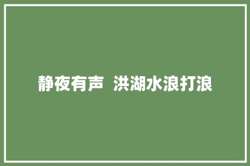 静夜有声  洪湖水浪打浪