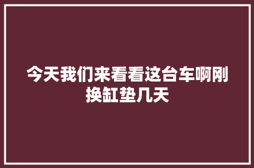 今天我们来看看这台车啊刚换缸垫几天