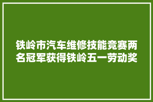 铁岭市汽车维修技能竞赛两名冠军获得铁岭五一劳动奖章荣誉称号