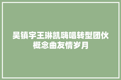 吴镇宇王琳凯嗨唱转型团伙概念曲友情岁月