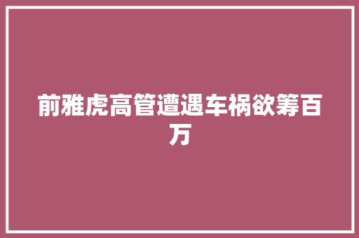 前雅虎高管遭遇车祸欲筹百万
