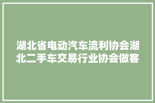 湖北省电动汽车流利协会湖北二手车交易行业协会做客极目315维权热线湖北省二手车出口开启新征程