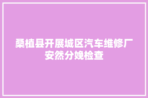 桑植县开展城区汽车维修厂安然分娩检查