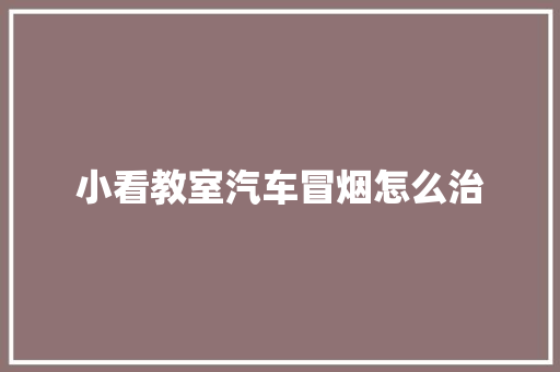 小看教室汽车冒烟怎么治