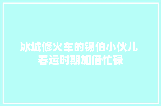 冰城修火车的锡伯小伙儿 春运时期加倍忙碌