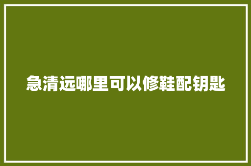急清远哪里可以修鞋配钥匙 汽车知识 急清远哪里可以修鞋配钥匙 汽车知识