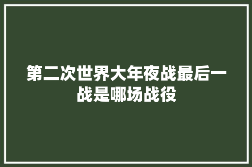 第二次世界大年夜战最后一战是哪场战役