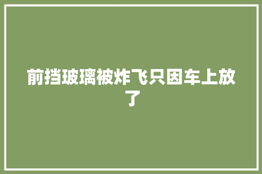 前挡玻璃被炸飞只因车上放了