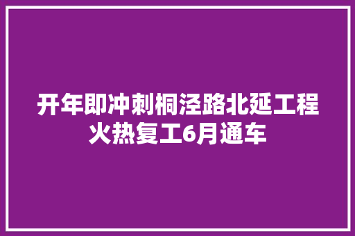 开年即冲刺桐泾路北延工程火热复工6月通车
