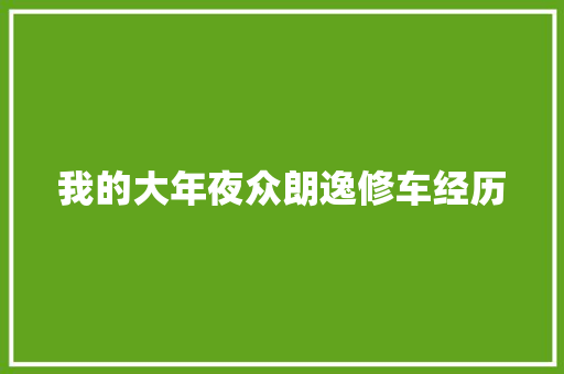 我的大年夜众朗逸修车经历