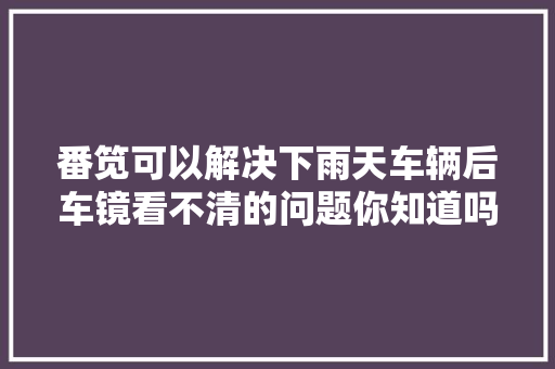 番笕可以解决下雨天车辆后车镜看不清的问题你知道吗