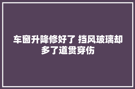 车窗升降修好了 挡风玻璃却多了道贯穿伤