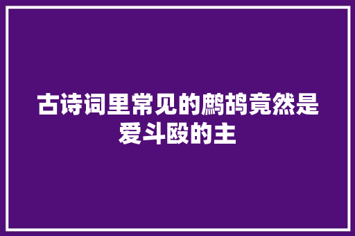 古诗词里常见的鹧鸪竟然是爱斗殴的主