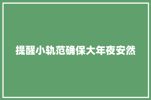 提醒小轨范确保大年夜安然 汽车知识