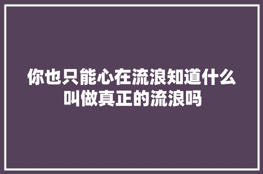 你也只能心在流浪知道什么叫做真正的流浪吗