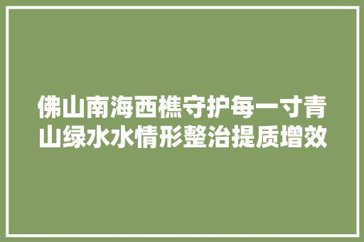 佛山南海西樵守护每一寸青山绿水水情形整治提质增效