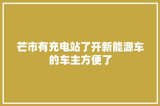 芒市有充电站了开新能源车的车主方便了