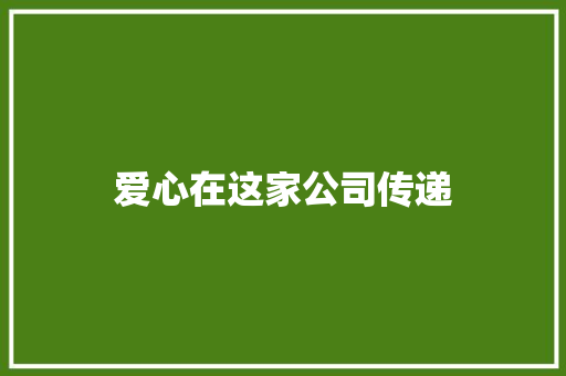 爱心在这家公司传递
