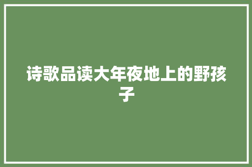 诗歌品读大年夜地上的野孩子