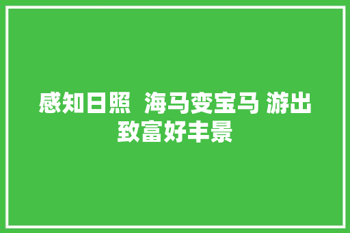 感知日照  海马变宝马 游出致富好丰景