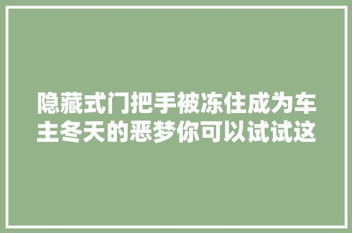 隐藏式门把手被冻住成为车主冬天的恶梦你可以试试这些招儿