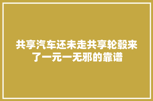 共享汽车还未走共享轮毂来了一元一无邪的靠谱