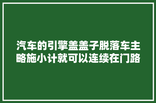 汽车的引擎盖盖子脱落车主略施小计就可以连续在门路上