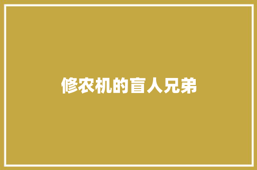 修农机的盲人兄弟