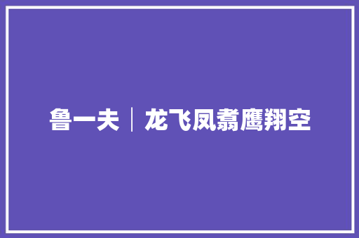 鲁一夫│龙飞凤翥鹰翔空