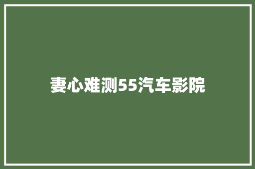 妻心难测55汽车影院