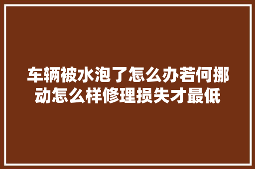 车辆被水泡了怎么办若何挪动怎么样修理损失才最低