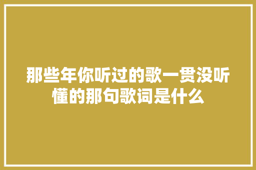 那些年你听过的歌一贯没听懂的那句歌词是什么