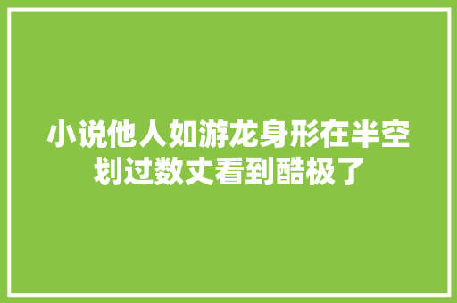 小说他人如游龙身形在半空划过数丈看到酷极了