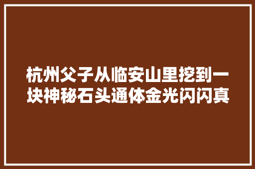 杭州父子从临安山里挖到一块神秘石头通体金光闪闪真是传说中的狗头金