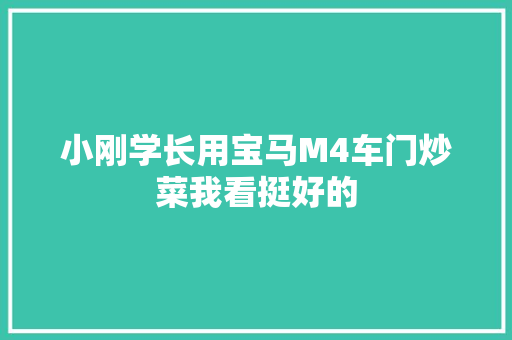 小刚学长用宝马M4车门炒菜我看挺好的