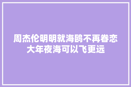 周杰伦明明就海鸥不再眷恋大年夜海可以飞更远