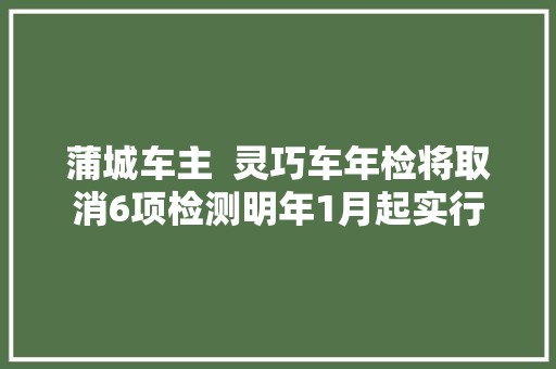 蒲城车主  灵巧车年检将取消6项检测明年1月起实行