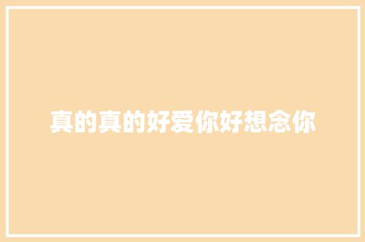 真的真的好爱你好想念你